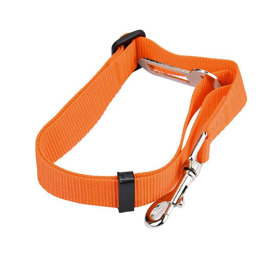 BeltPet™ - Ceinture de siège pour animal de compagnie - Amis - poilu