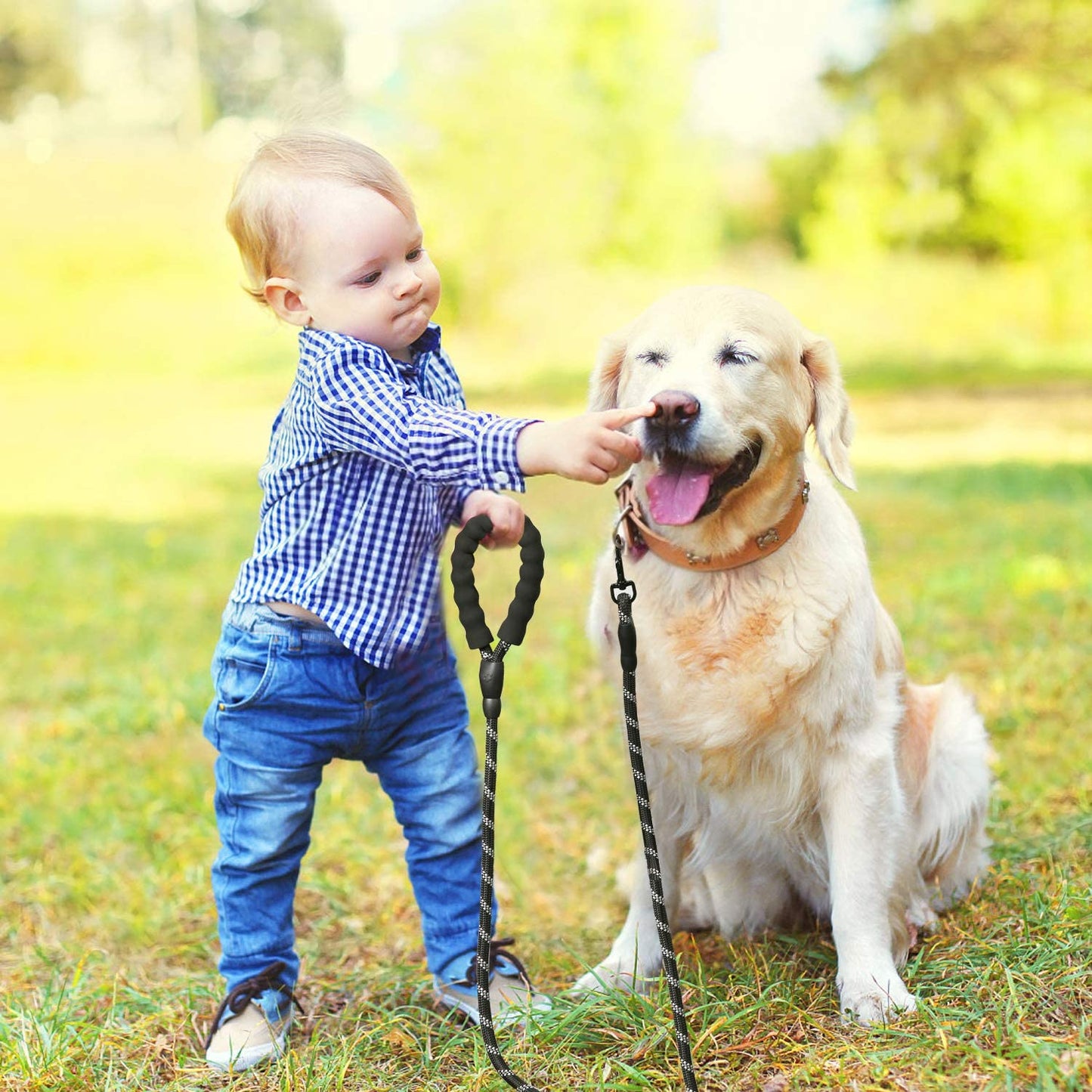 LaisseEduc™ - Corde en Nylon pour chien | Chien - Amis - poilu