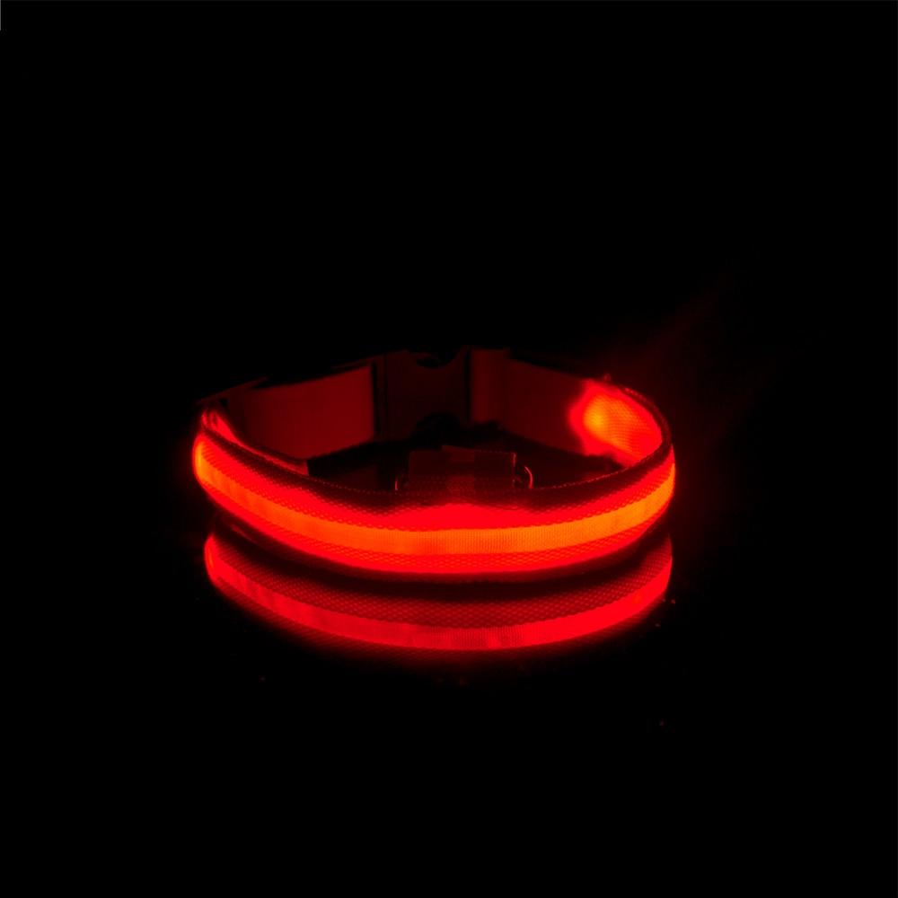 LedCollar™ - Collier à LED rechargeable pour chien - Amis - poilu