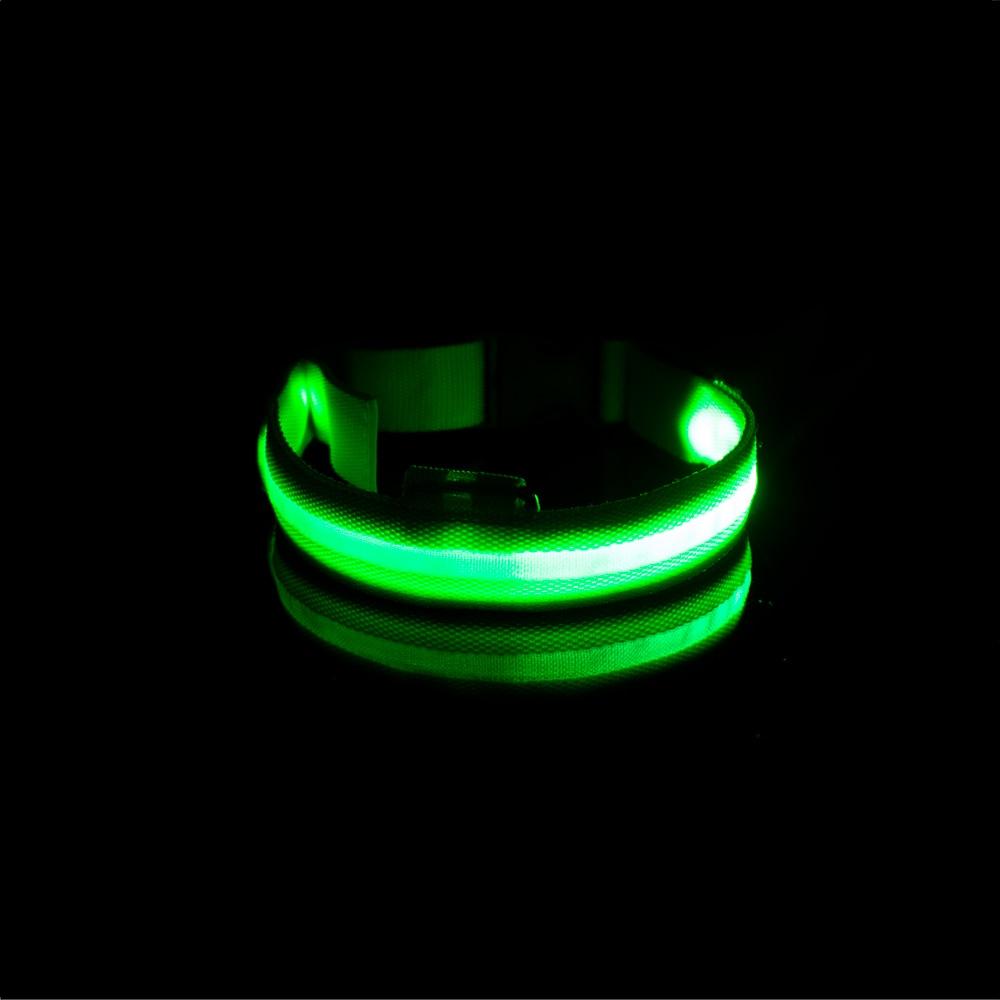 LedCollar™ - Collier à LED rechargeable pour chien - Amis - poilu